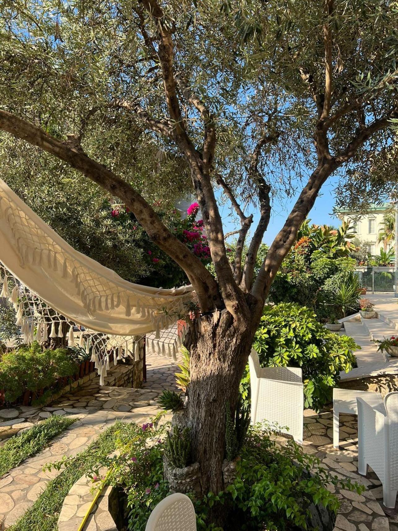 Hotel Orange Dhërmi Εξωτερικό φωτογραφία